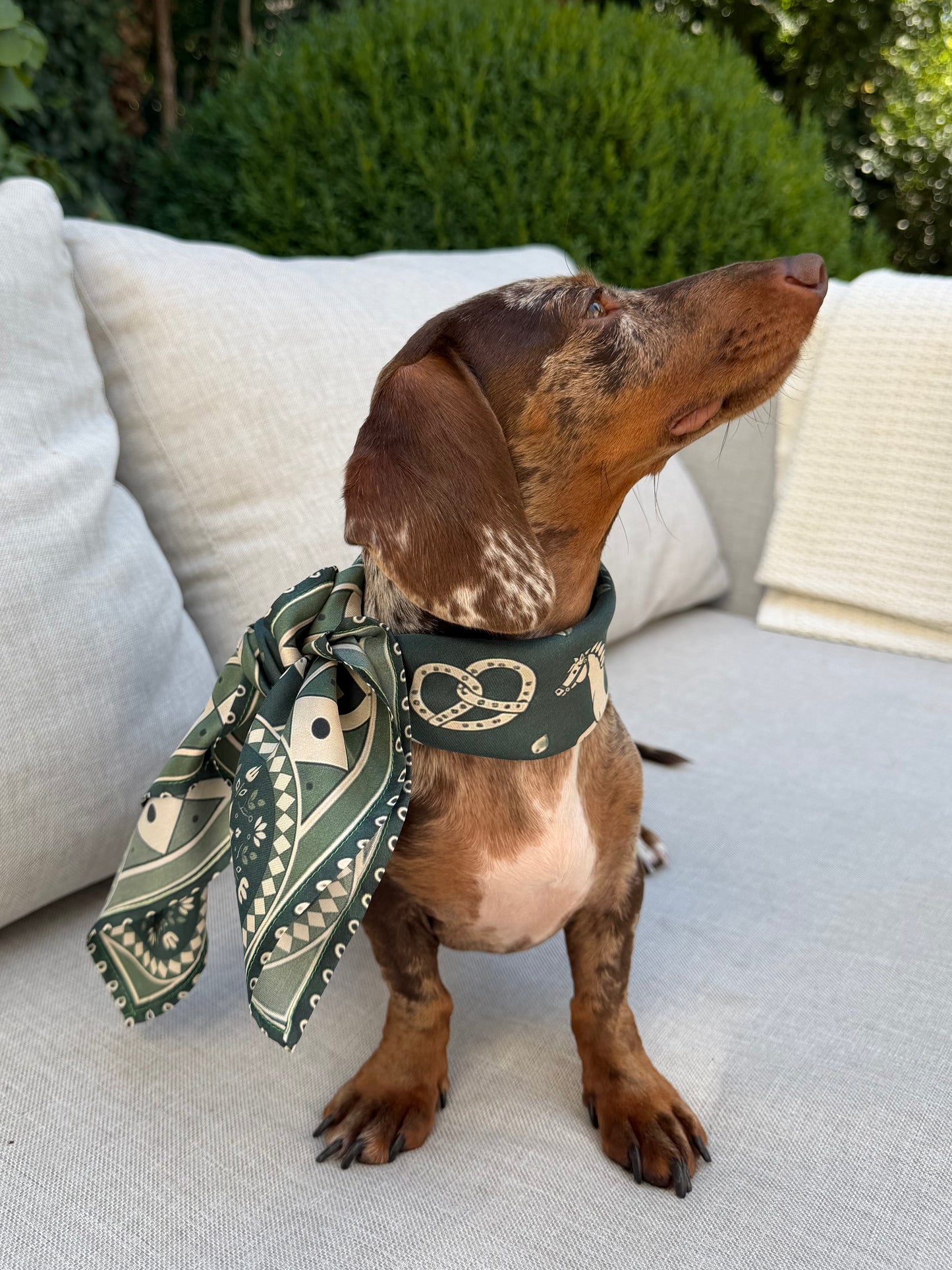 Silk Scarf - Lia