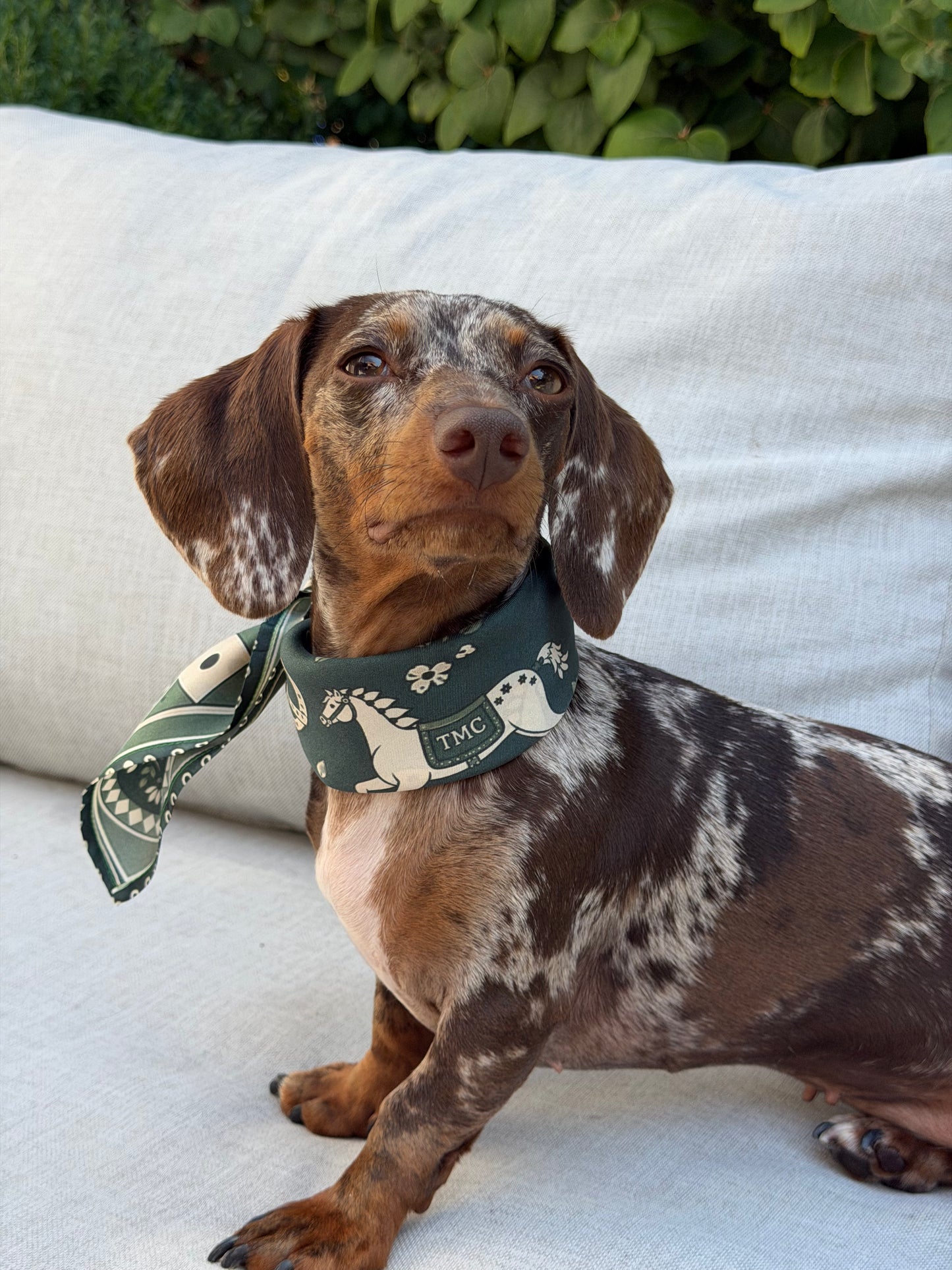 Silk Scarf - Lia